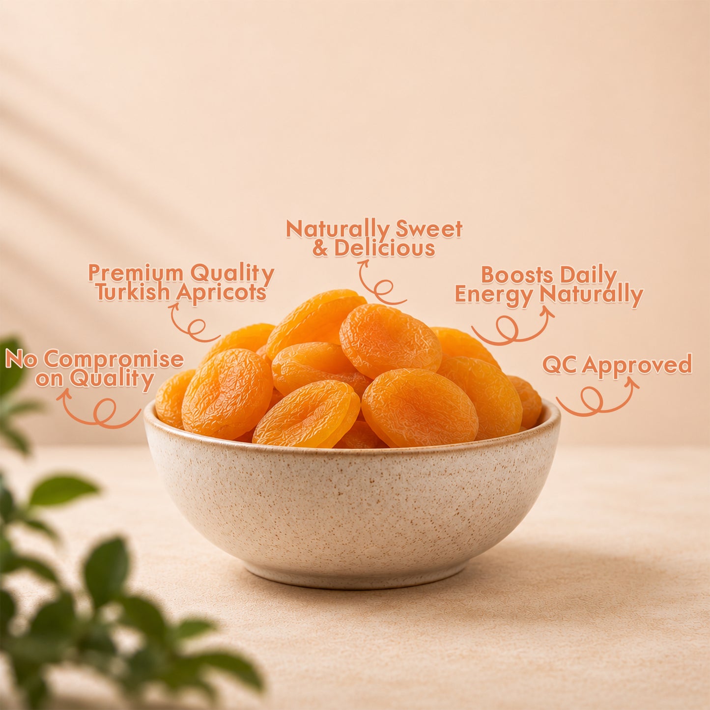 Turkish Apricot – 200gm Pouch